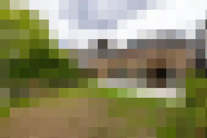 Grotestraat 13 Wehl thumbnail 19