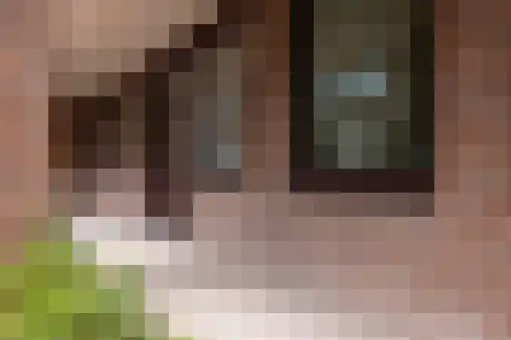 Grotestraat 13 Wehl thumbnail 25