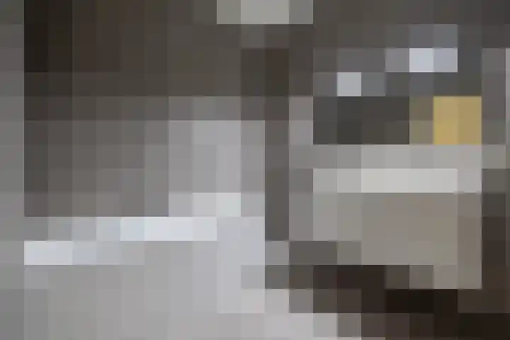 Grotestraat 13 Wehl thumbnail 31