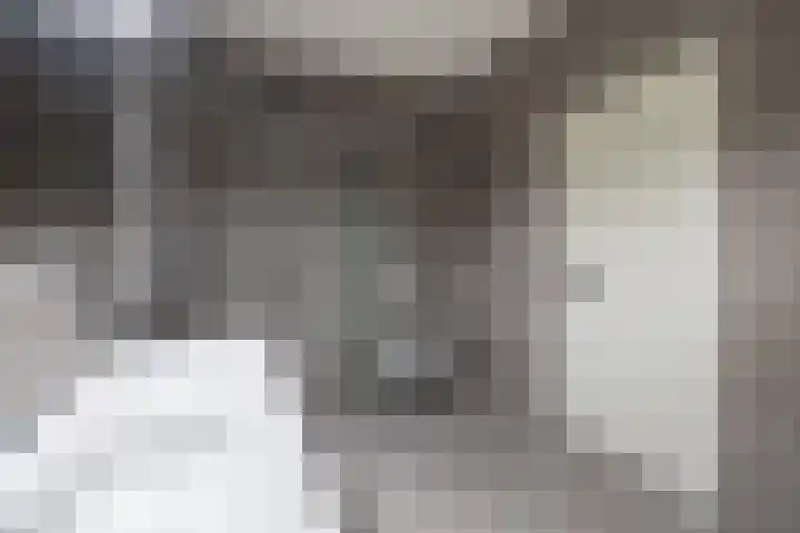 Grotestraat 13 Wehl thumbnail 33