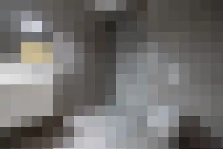 Grotestraat 13 Wehl thumbnail 34