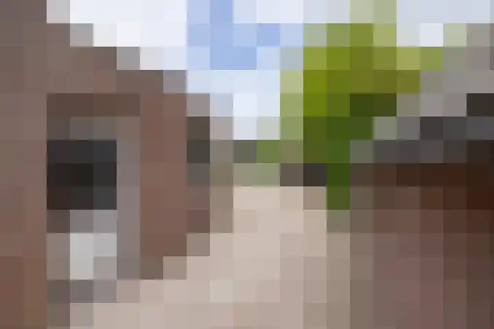 Grotestraat 13 Wehl thumbnail 47