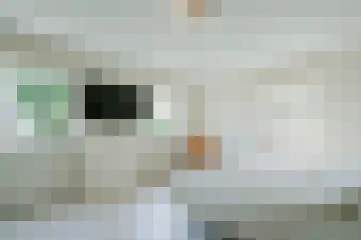 Grotestraat 14 Heesbeen thumbnail 16