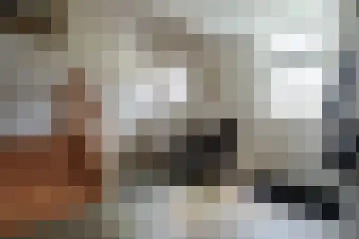 Grotestraat 14 Heesbeen thumbnail 5