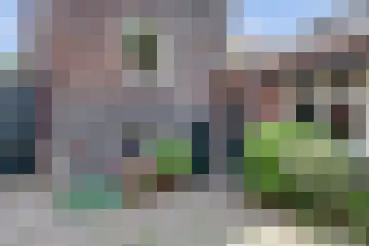Grotestraat 16 Baarlo thumbnail 43