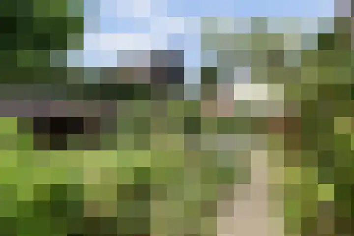 Grotestraat 16 Baarlo thumbnail 45