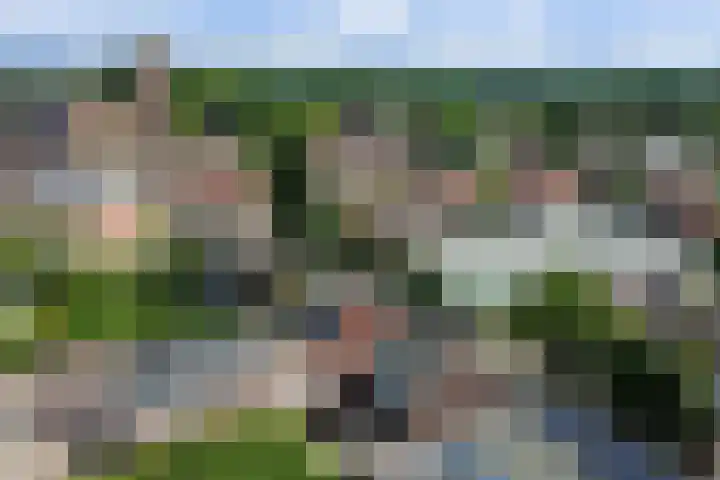 Grotestraat 16 Baarlo thumbnail 55