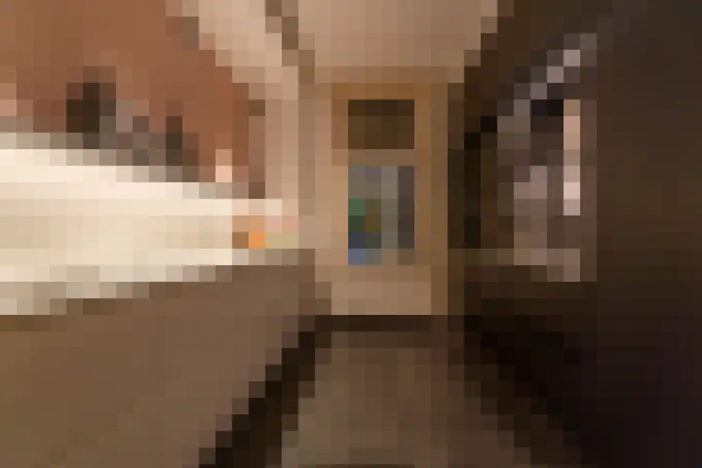 Grotestraat 24 Sambeek thumbnail 17