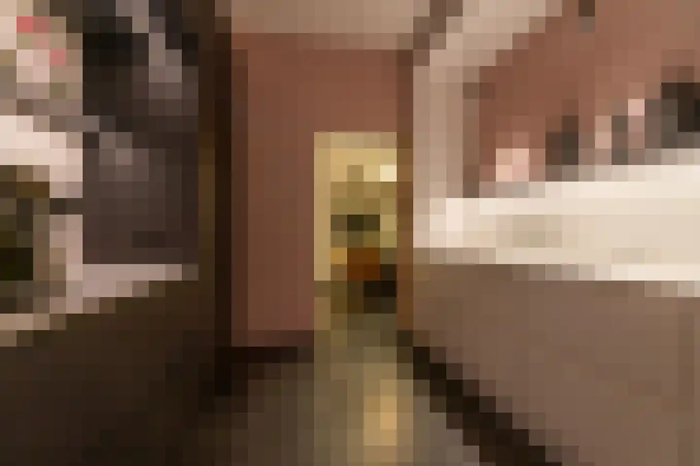 Grotestraat 24 Sambeek thumbnail 22