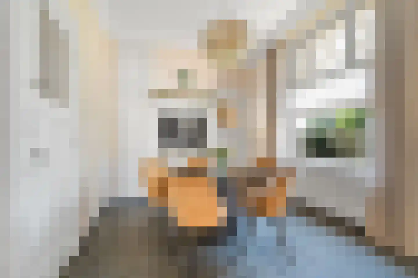 Grotestraat 24 Sambeek thumbnail 23
