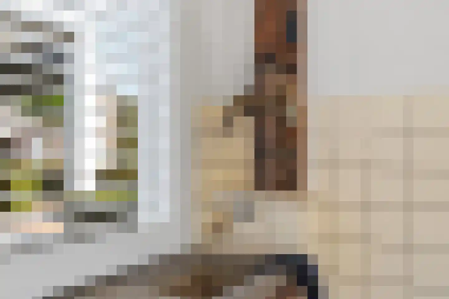 Grotestraat 24 Sambeek thumbnail 25