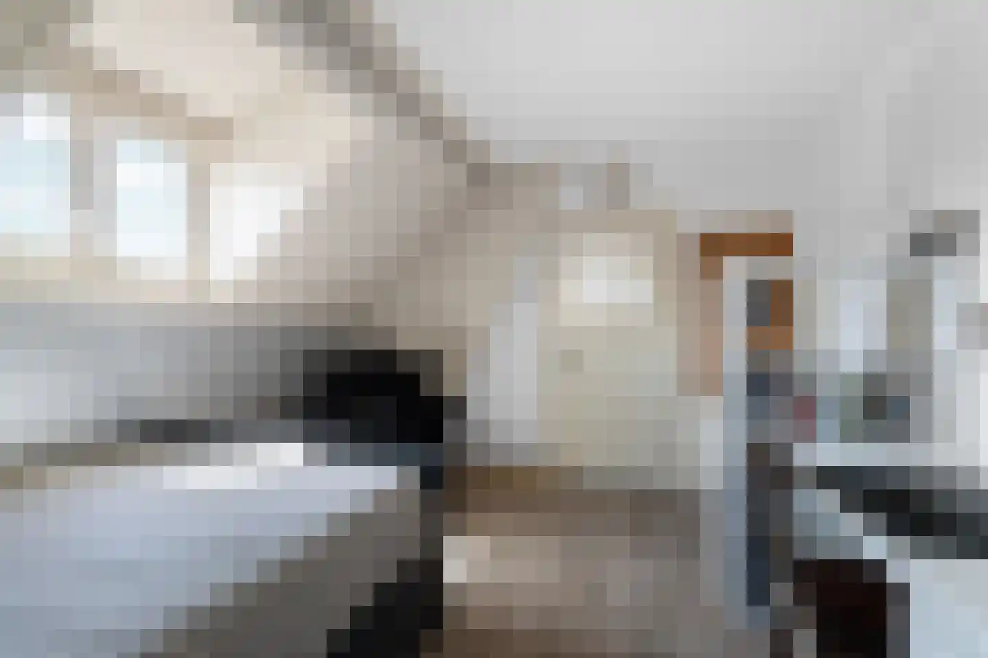 Grotestraat 24 Sambeek thumbnail 42