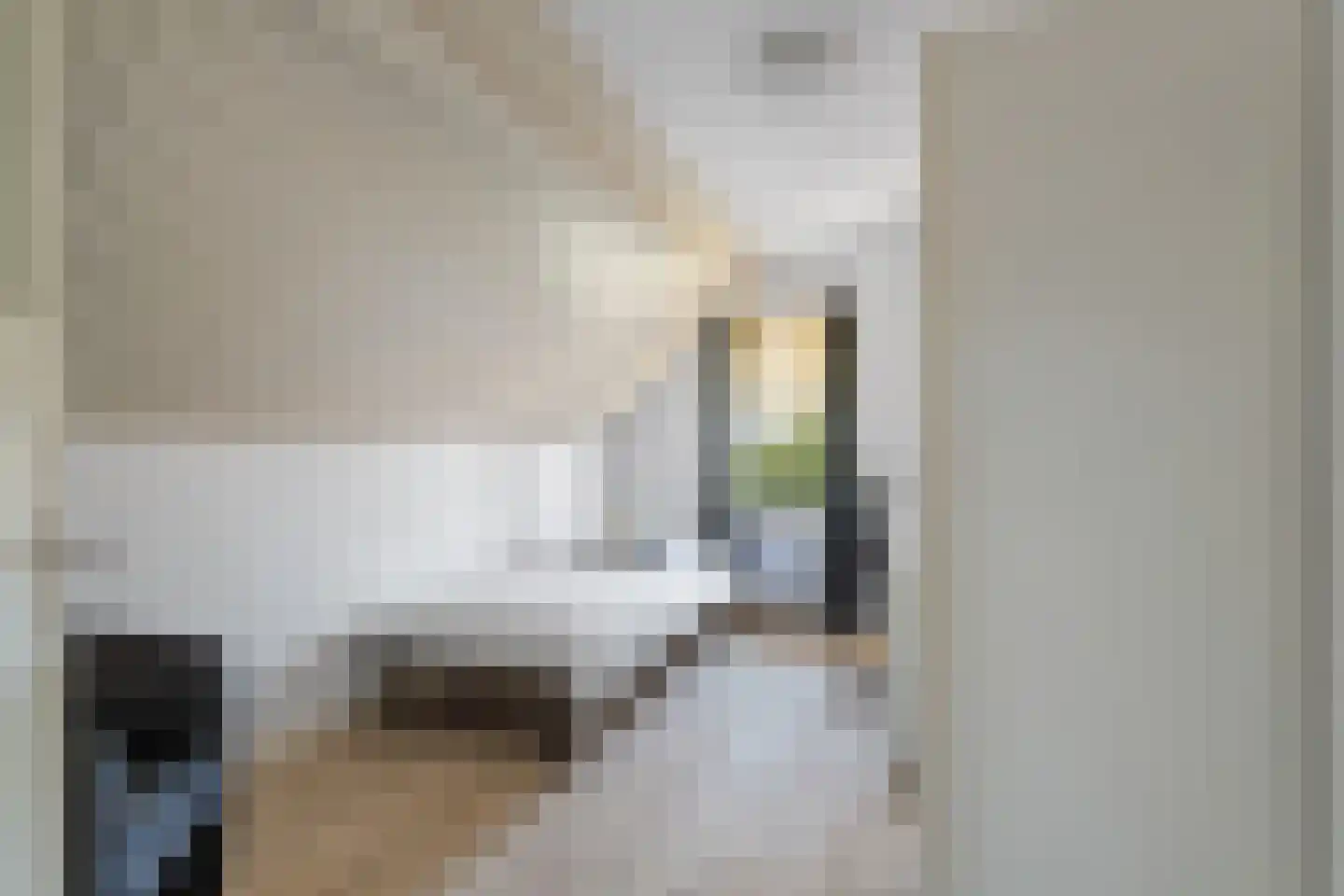 Grotestraat 24 Sambeek thumbnail 51