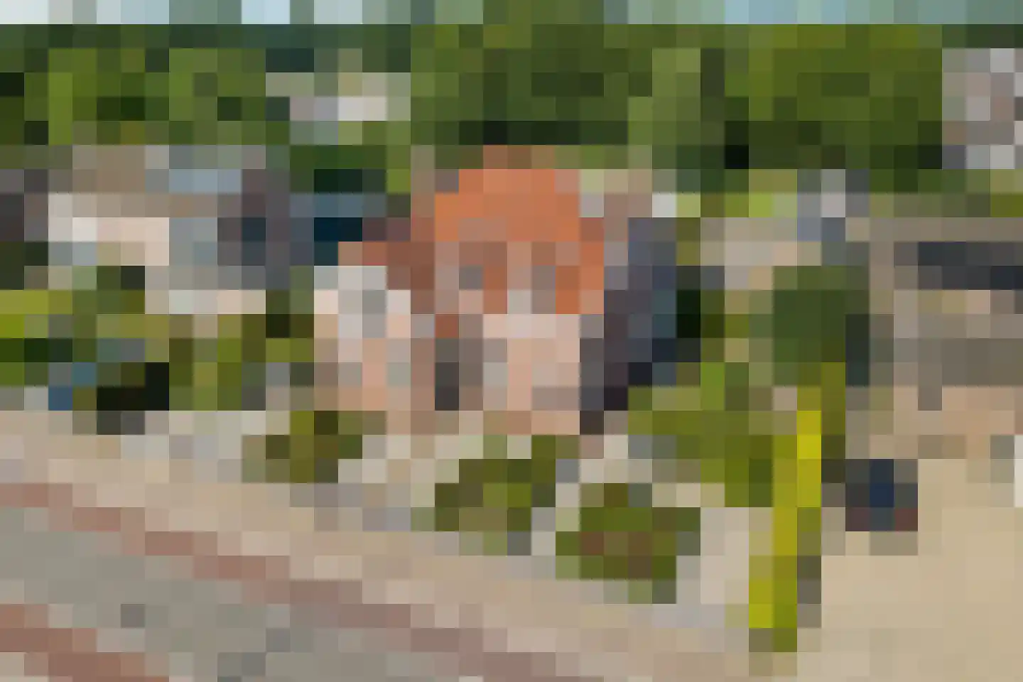 Grotestraat 24 Sambeek thumbnail 7