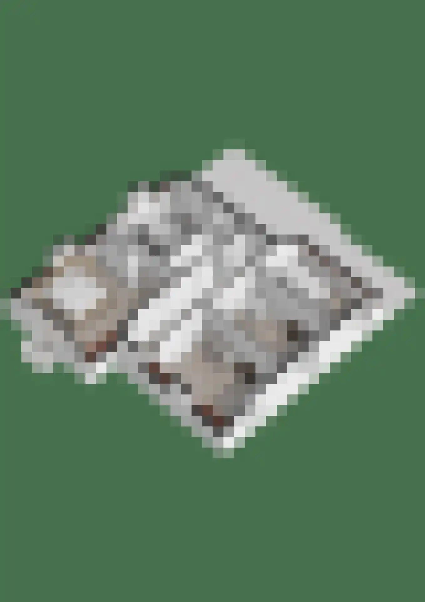 Grotestraat 24 Sambeek thumbnail 87