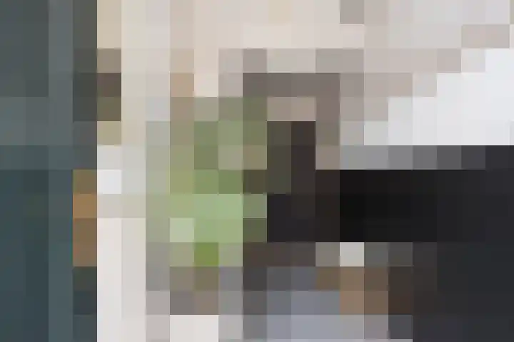 Grotestraat 25 Ootmarsum thumbnail 4