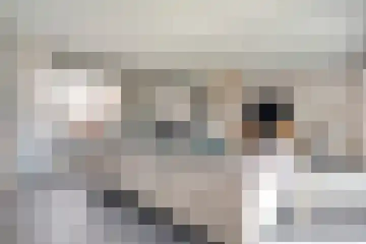 Grotestraat 31 Den Ham thumbnail 18
