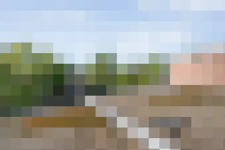 Grotestraat 31 Den Ham thumbnail 32