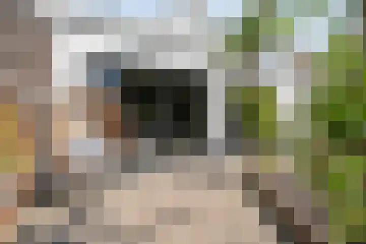 Grotestraat 31 Den Ham thumbnail 36