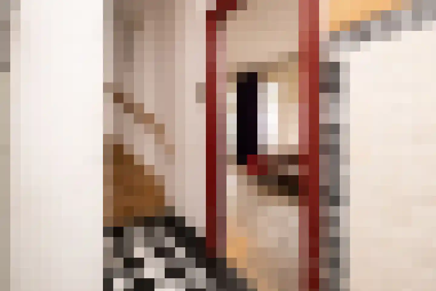 Grotestraat 31 Den Ham thumbnail 38
