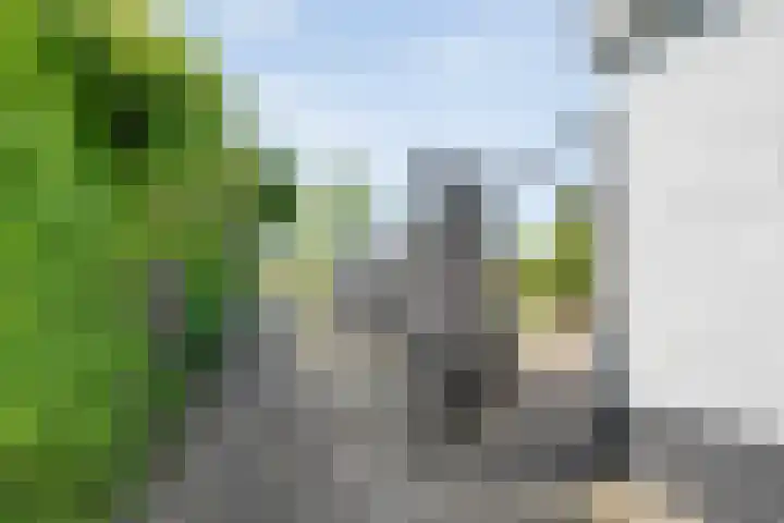 Grotestraat 31 Den Ham thumbnail 42