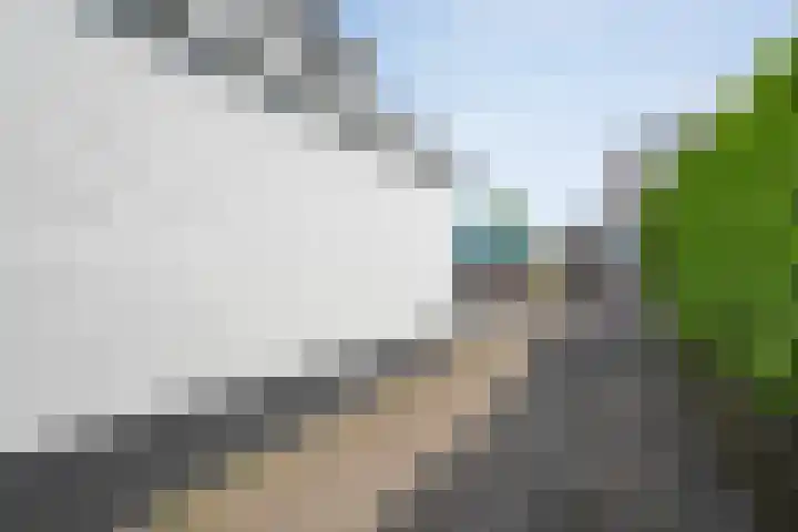 Grotestraat 31 Den Ham thumbnail 43