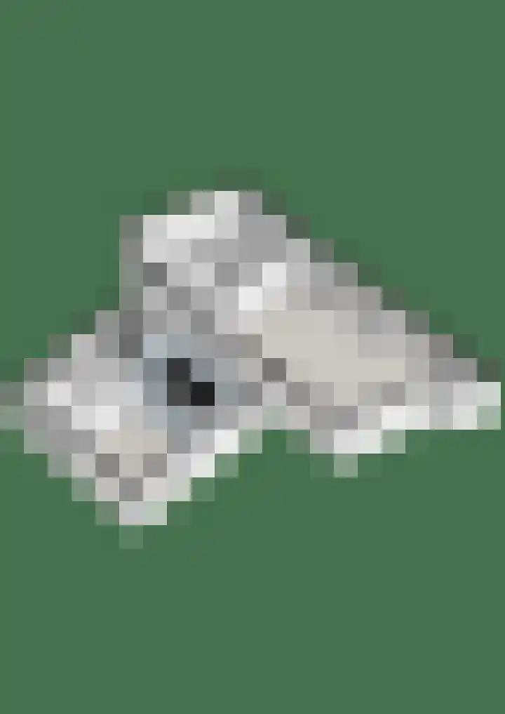 Grotestraat 31 Den Ham thumbnail 47
