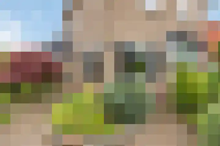 Grotestraat 36 Borne foto 2