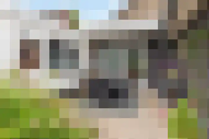 Grotestraat 36 Borne thumbnail 23
