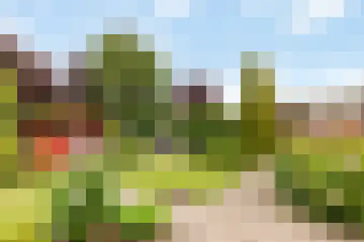 Grotestraat 36 Borne thumbnail 25