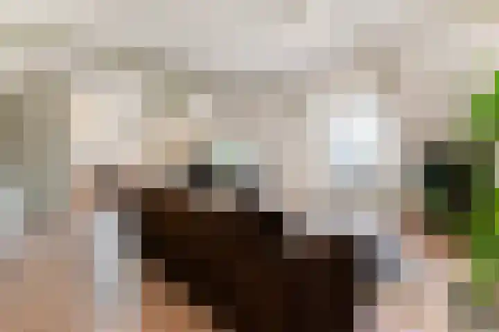 Grotestraat 36 Diepenheim thumbnail 13