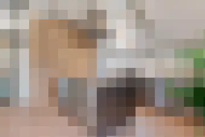 Grotestraat 36 Diepenheim thumbnail 6