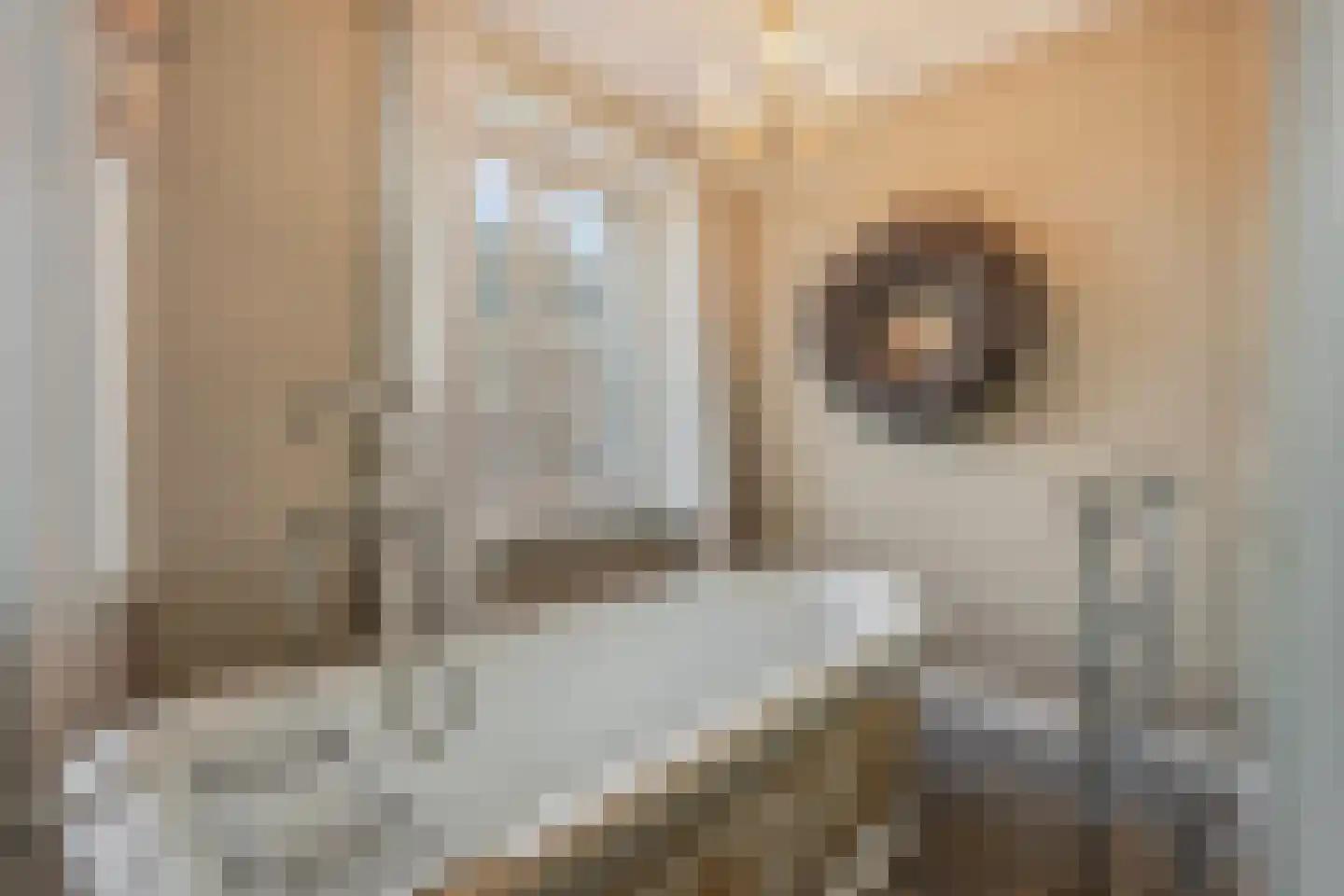 Grotestraat 37 Well L thumbnail 21
