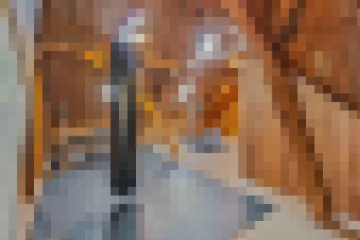 Grotestraat 37 Well L thumbnail 28
