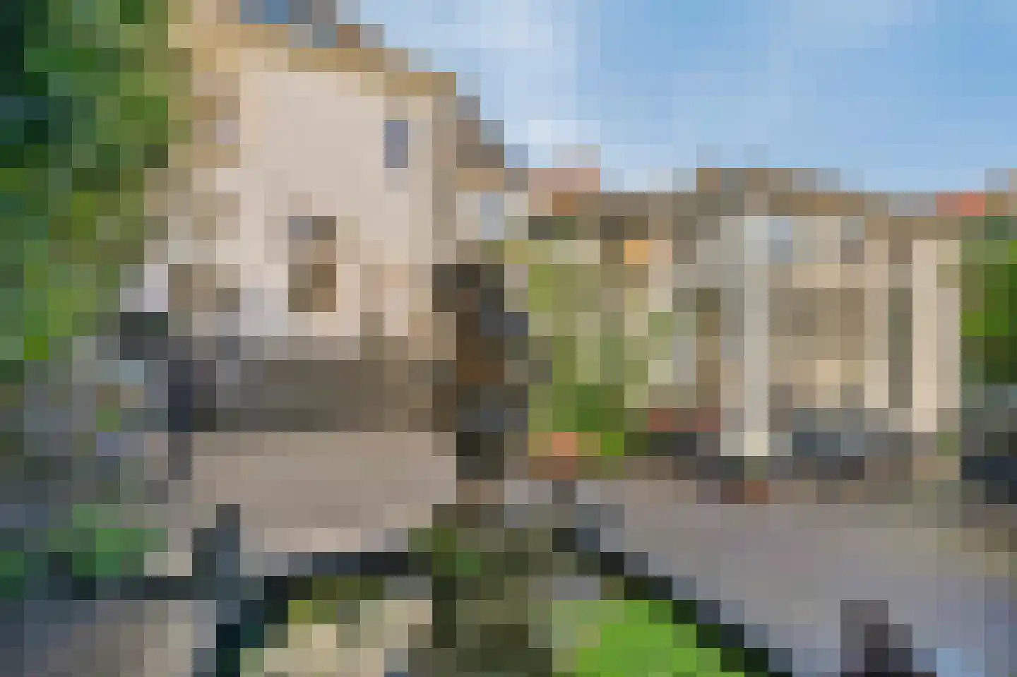 Grotestraat 37 Well L thumbnail 31