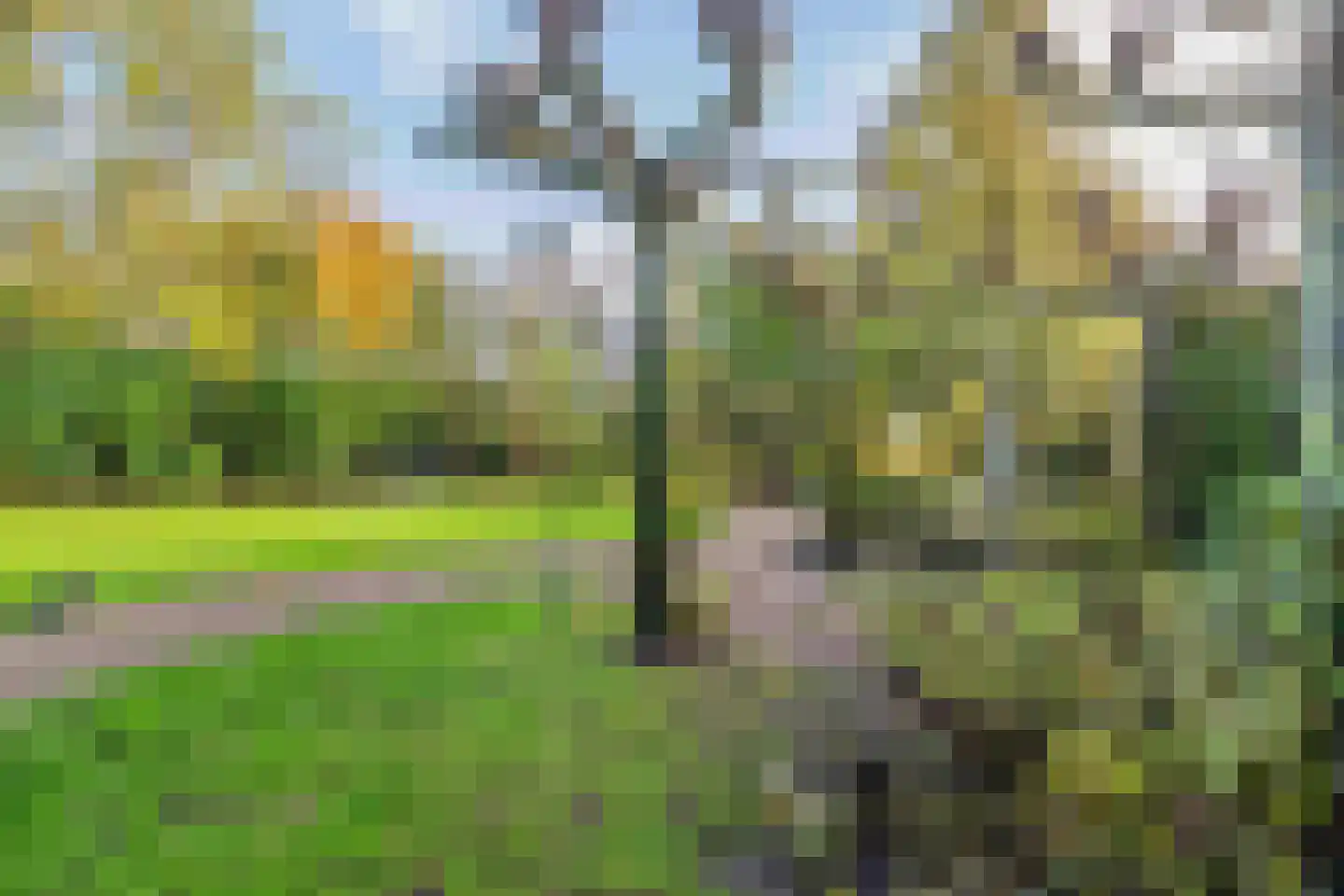 Grotestraat 37 Well L thumbnail 32