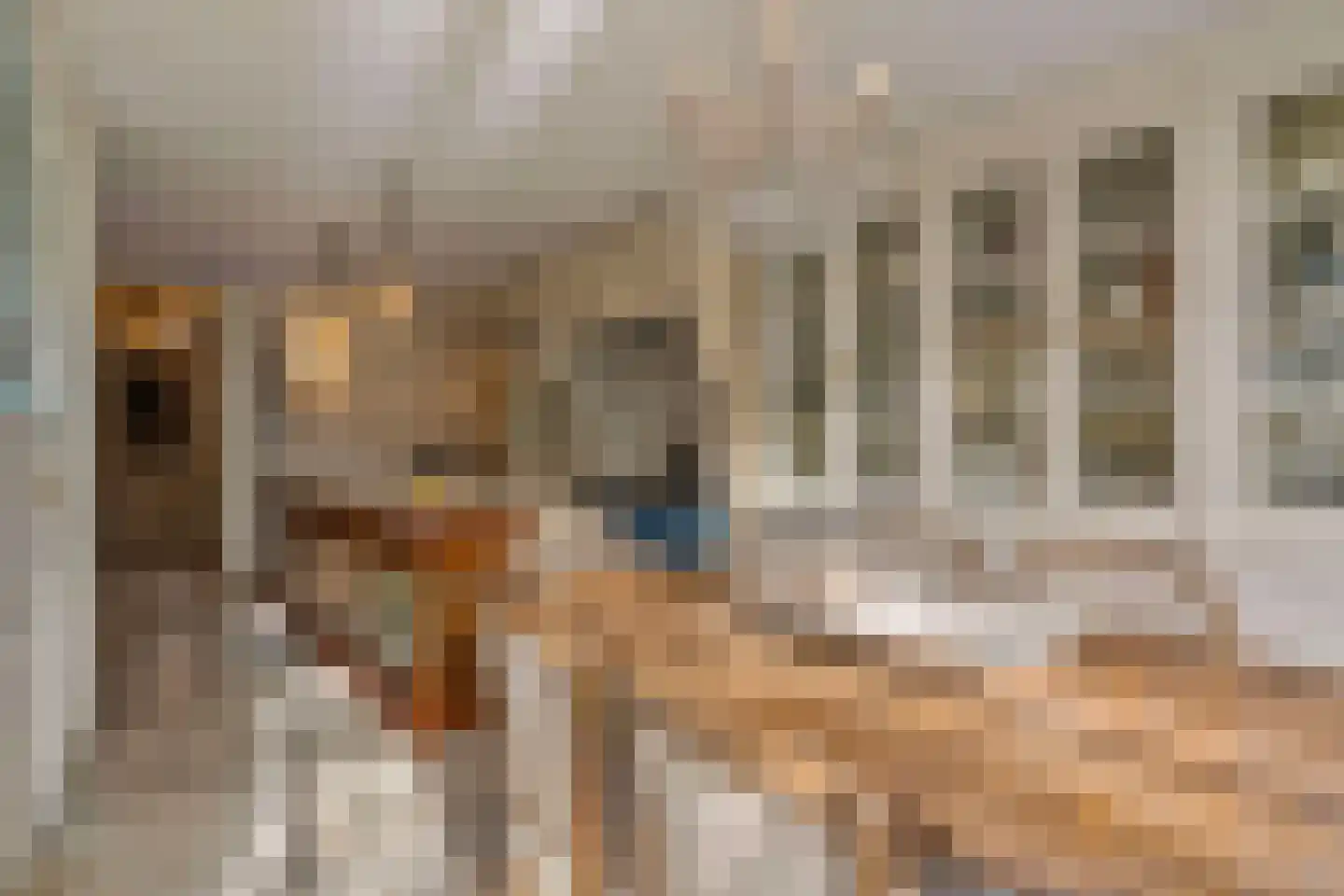 Grotestraat 37 Well L thumbnail 9