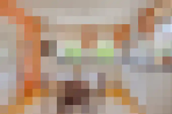 Grotestraat 39 Deest thumbnail 12