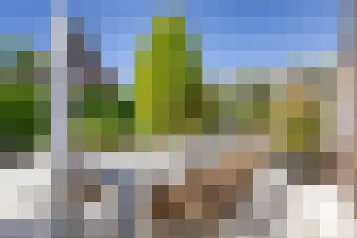 Grotestraat 39 Deest thumbnail 30