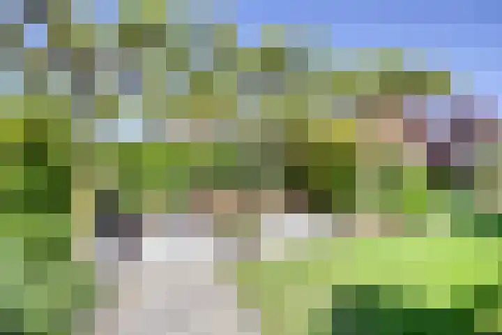 Grotestraat 39 Deest thumbnail 34