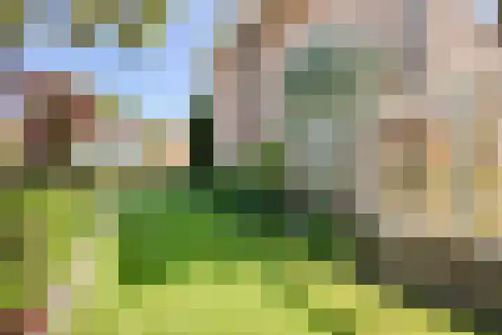 Grotestraat 39 Deest thumbnail 35