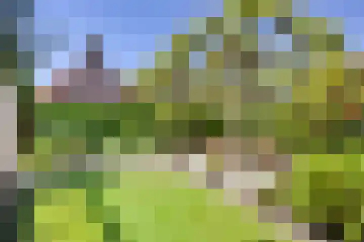 Grotestraat 39 Deest thumbnail 36