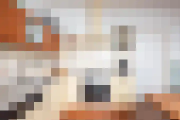 Grotestraat 51 Gendringen thumbnail 16