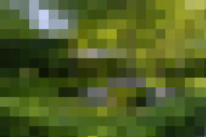 Grotestraat 60 Den Ham thumbnail 11