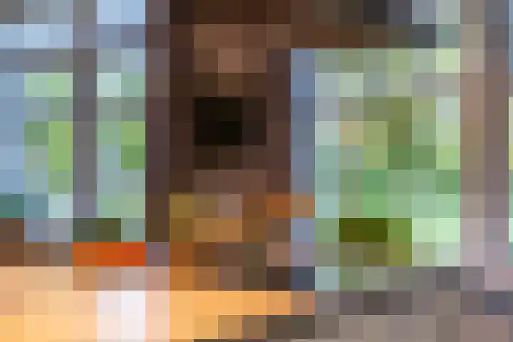 Grotestraat 60 Den Ham thumbnail 12