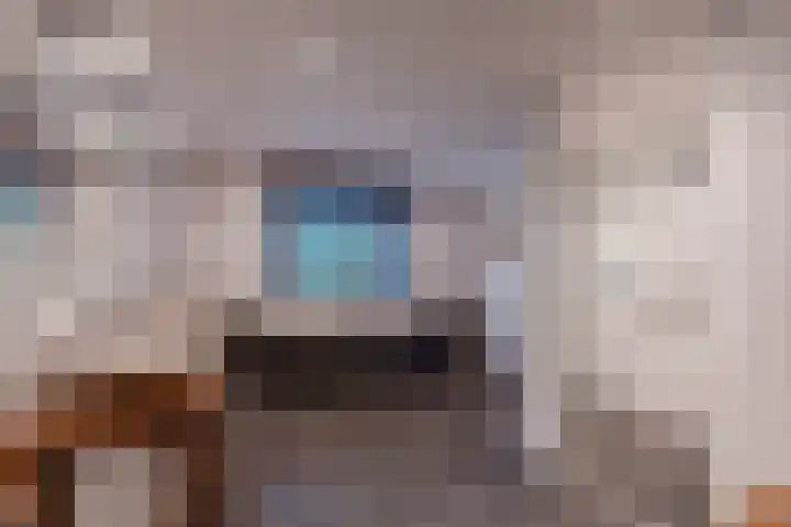 Grotestraat 60 Den Ham thumbnail 25