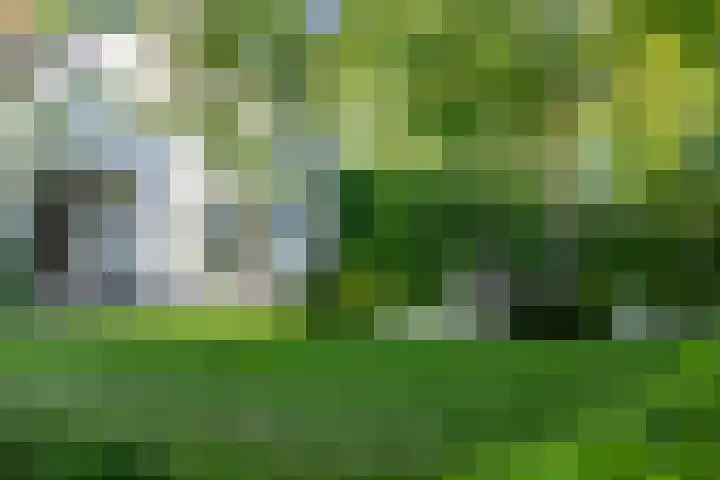 Grotestraat 60 Den Ham thumbnail 27