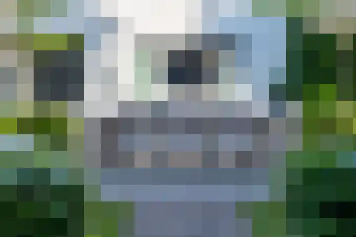 Grotestraat 60 Den Ham thumbnail 28