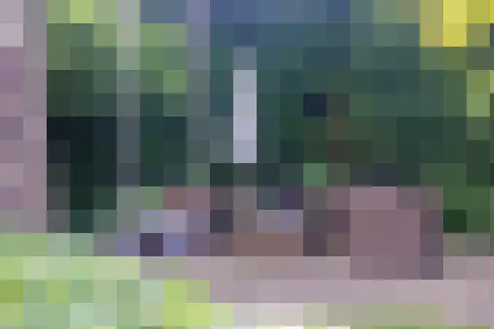 Grotestraat 60 Den Ham thumbnail 30