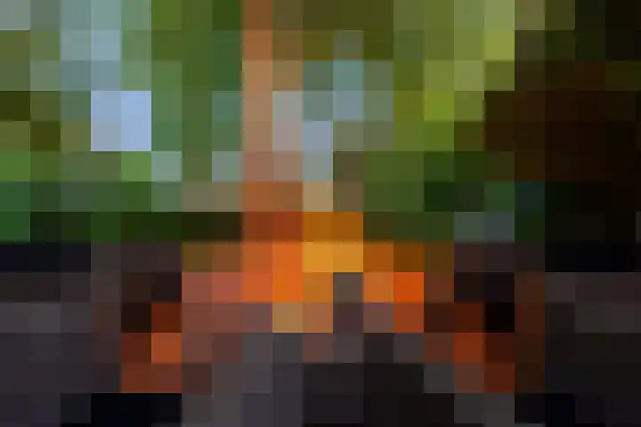 Grotestraat 60 Den Ham thumbnail 35